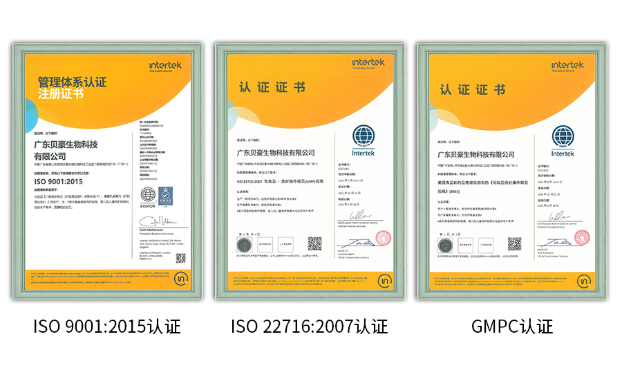 ISO GMPC认证.jpg